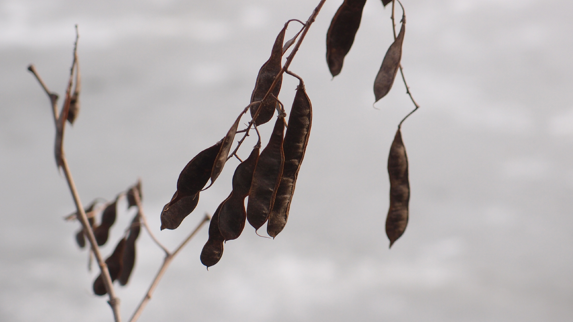 2021-03-10 Hanno Leichtmann - 1996 Monolith (rauschpartikel Remix 1 - 3)